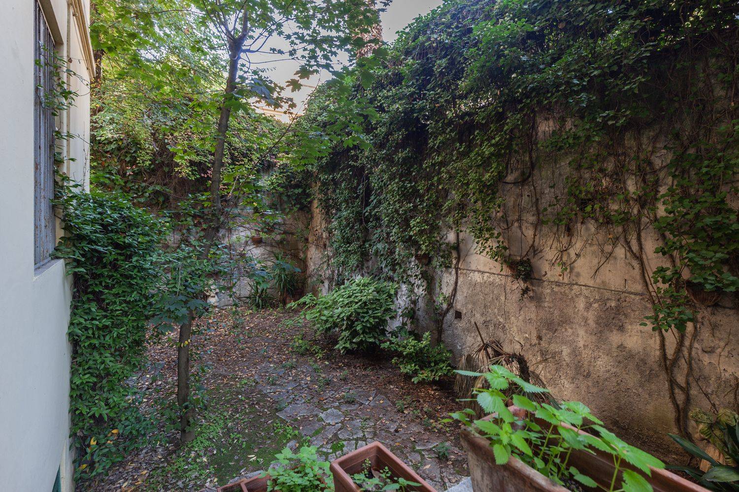 Giardino