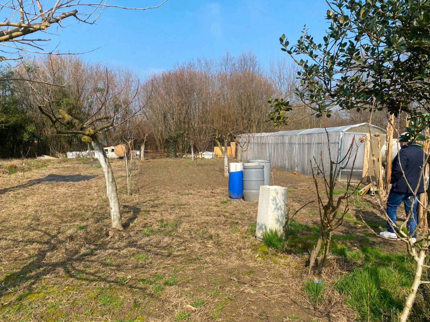 Terreno