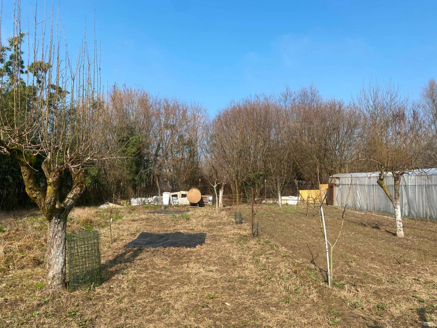 Terreno