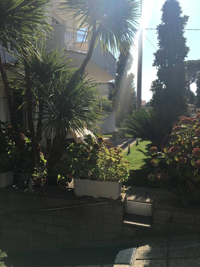 Giardino