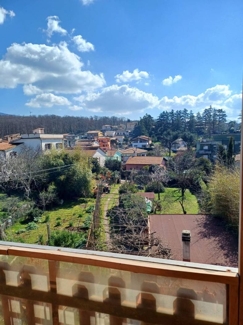 Vista