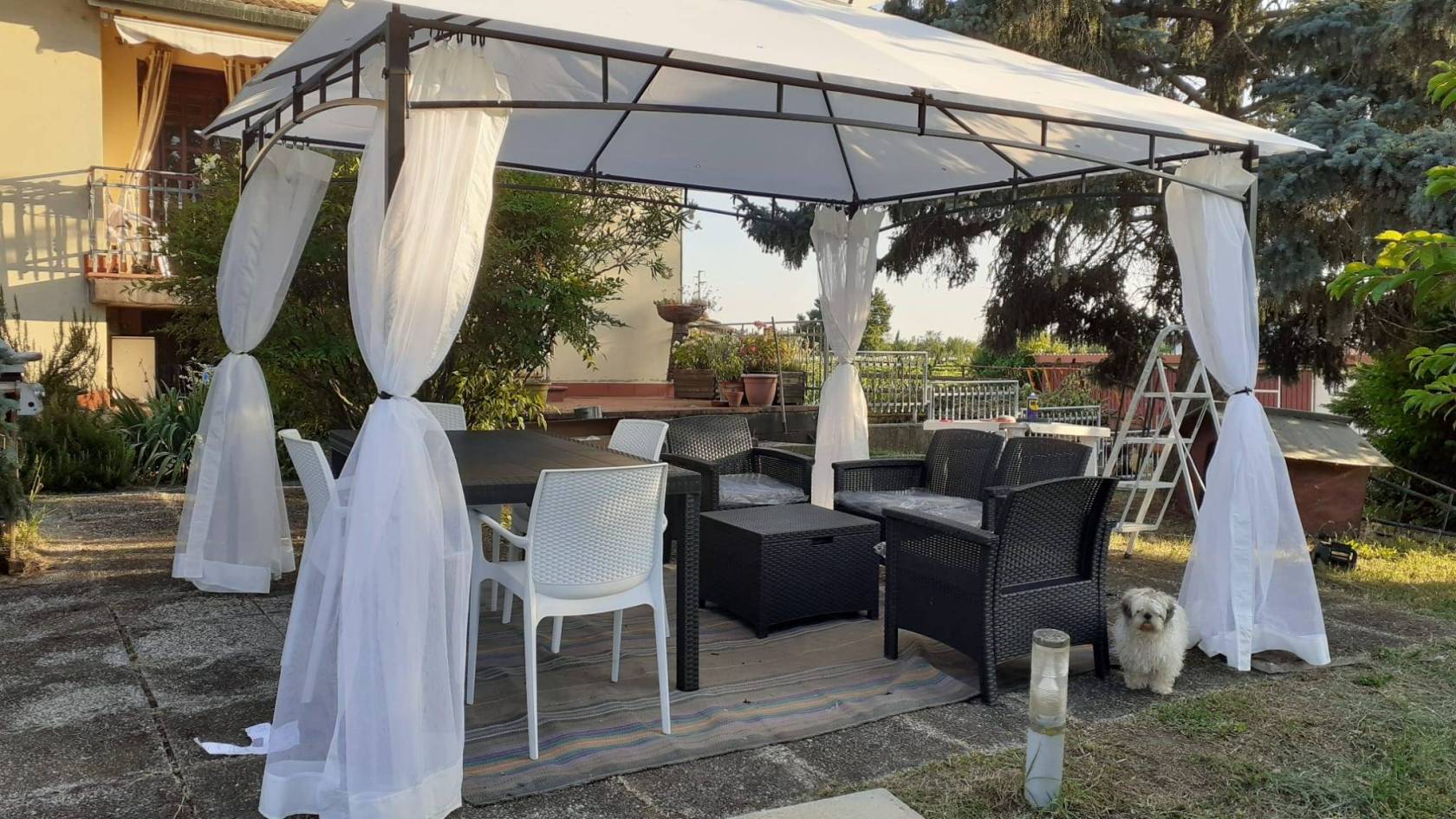 Giardino
