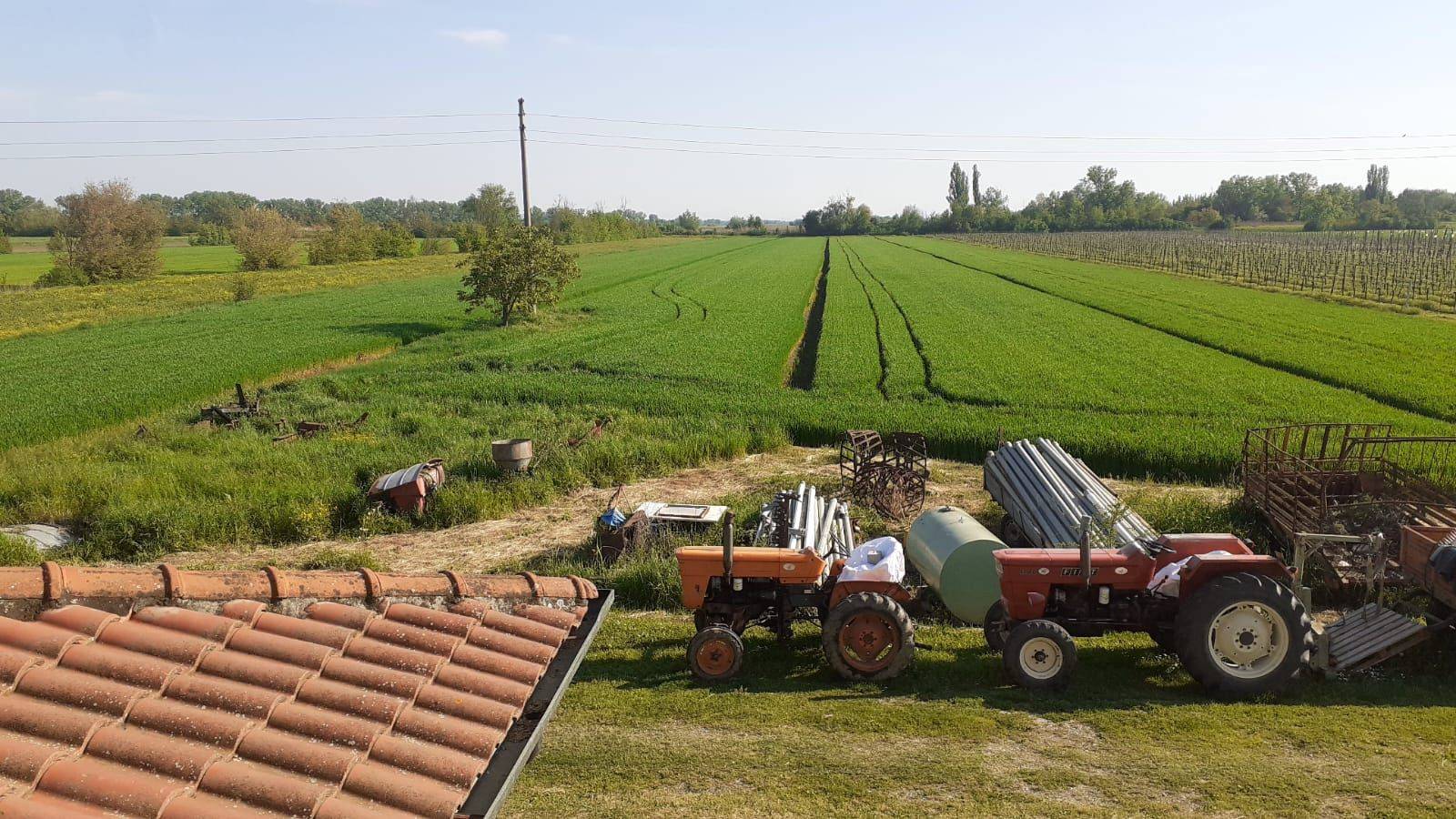 Terreno
