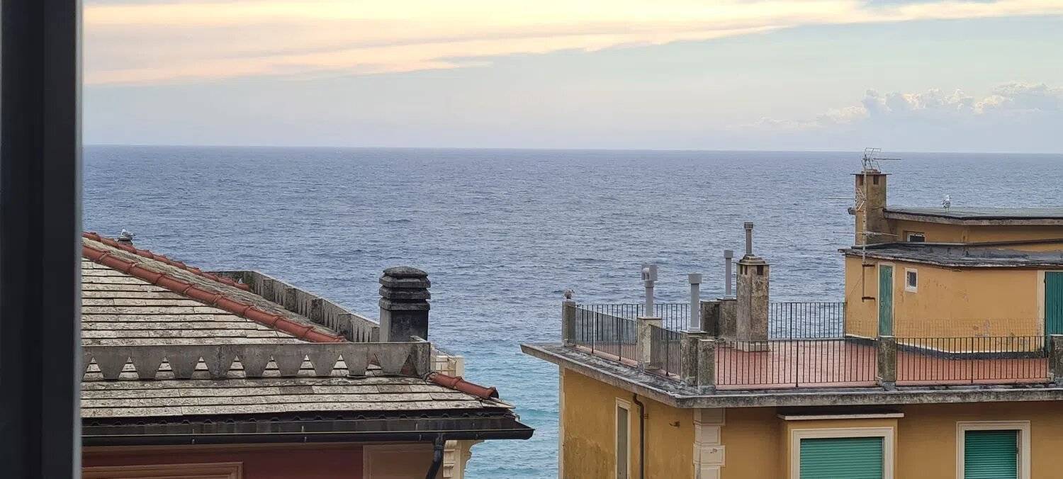 Vista