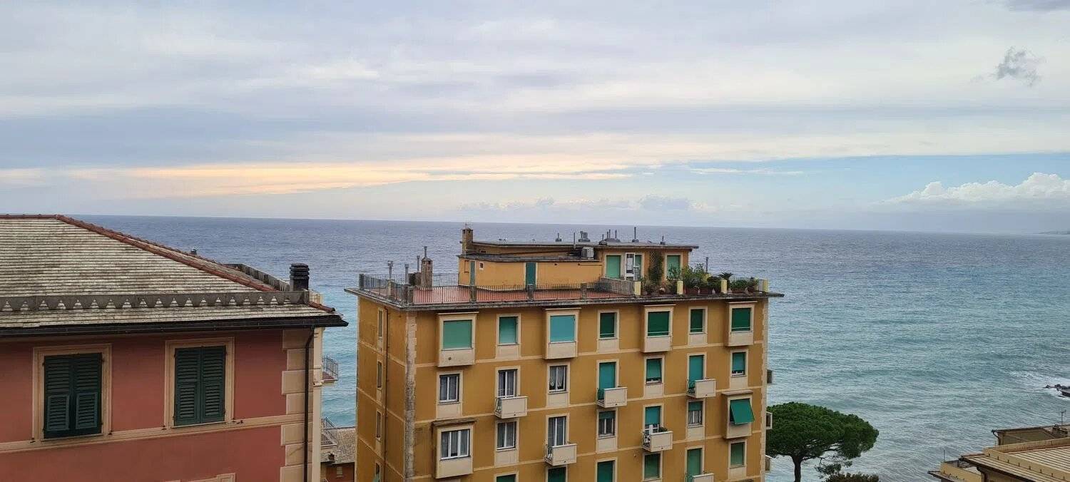 Vista