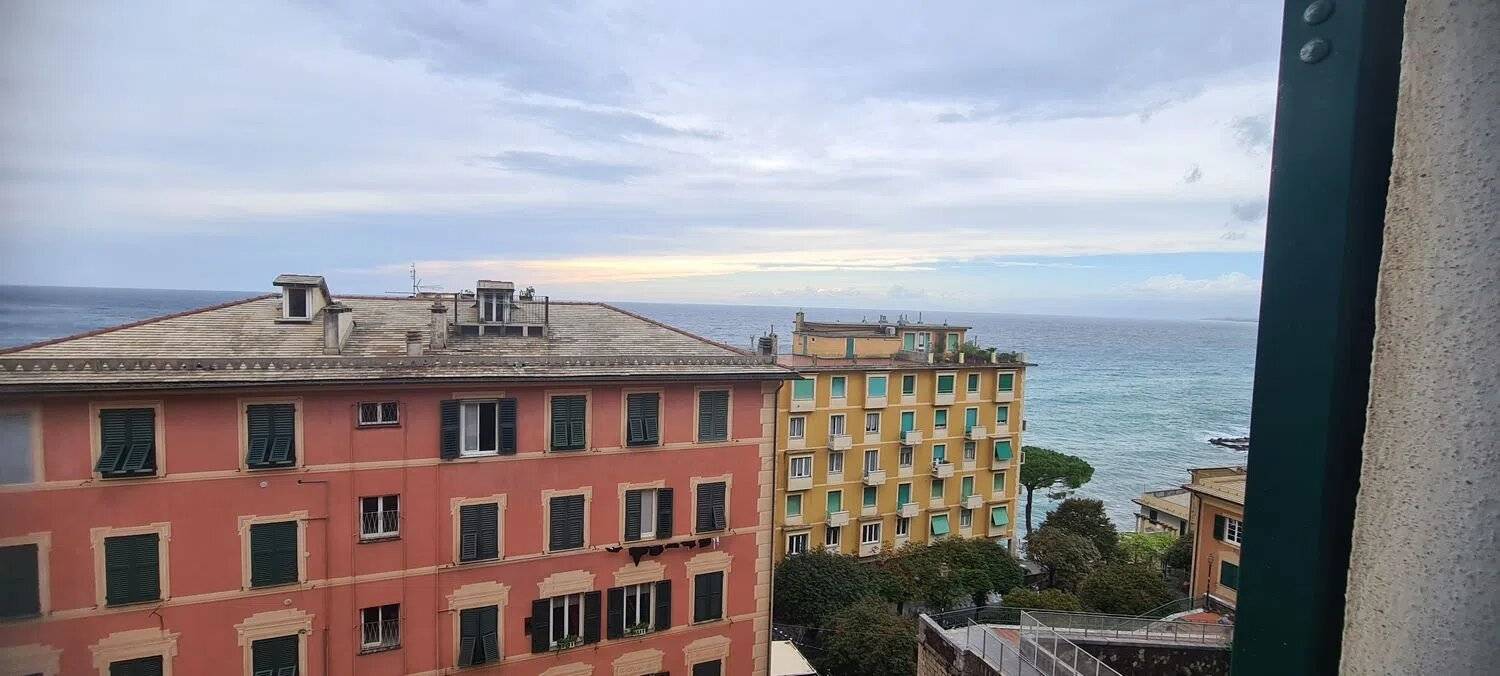 Vista