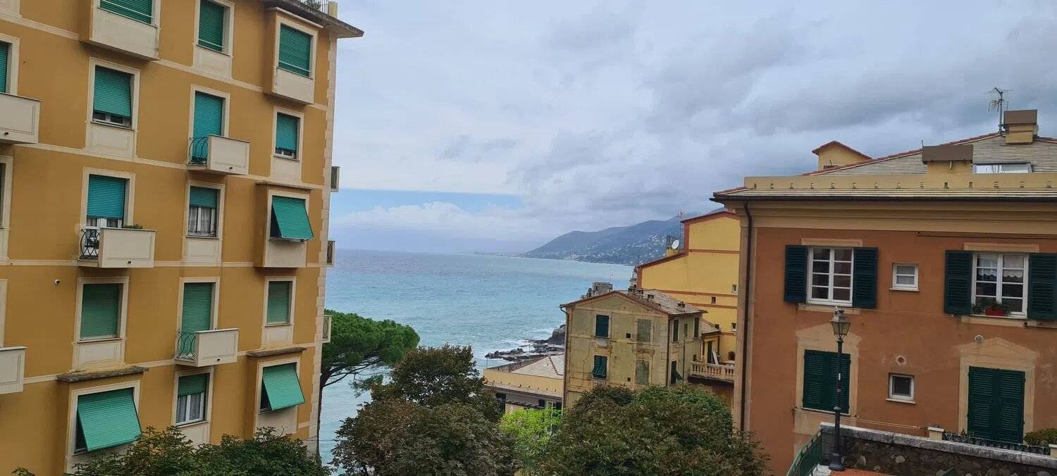 Vista