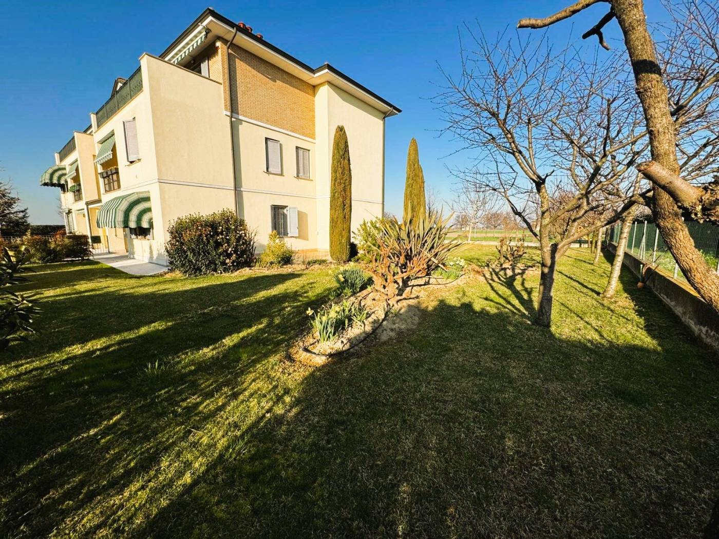 Giardino