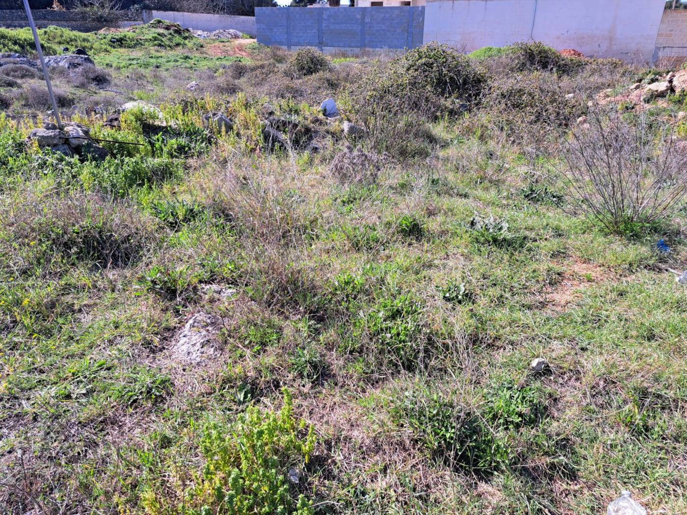 Terreno