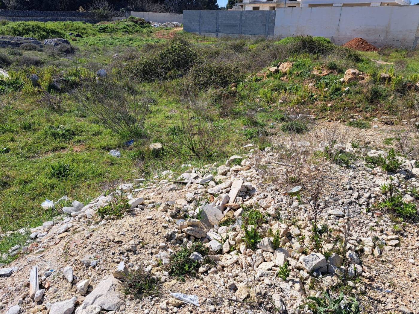 Terreno