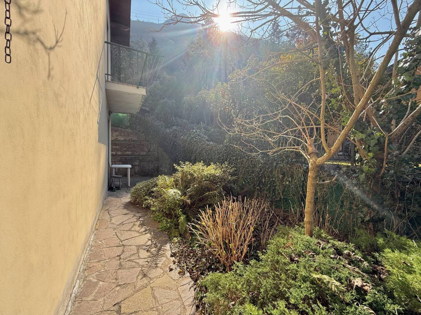 Giardino
