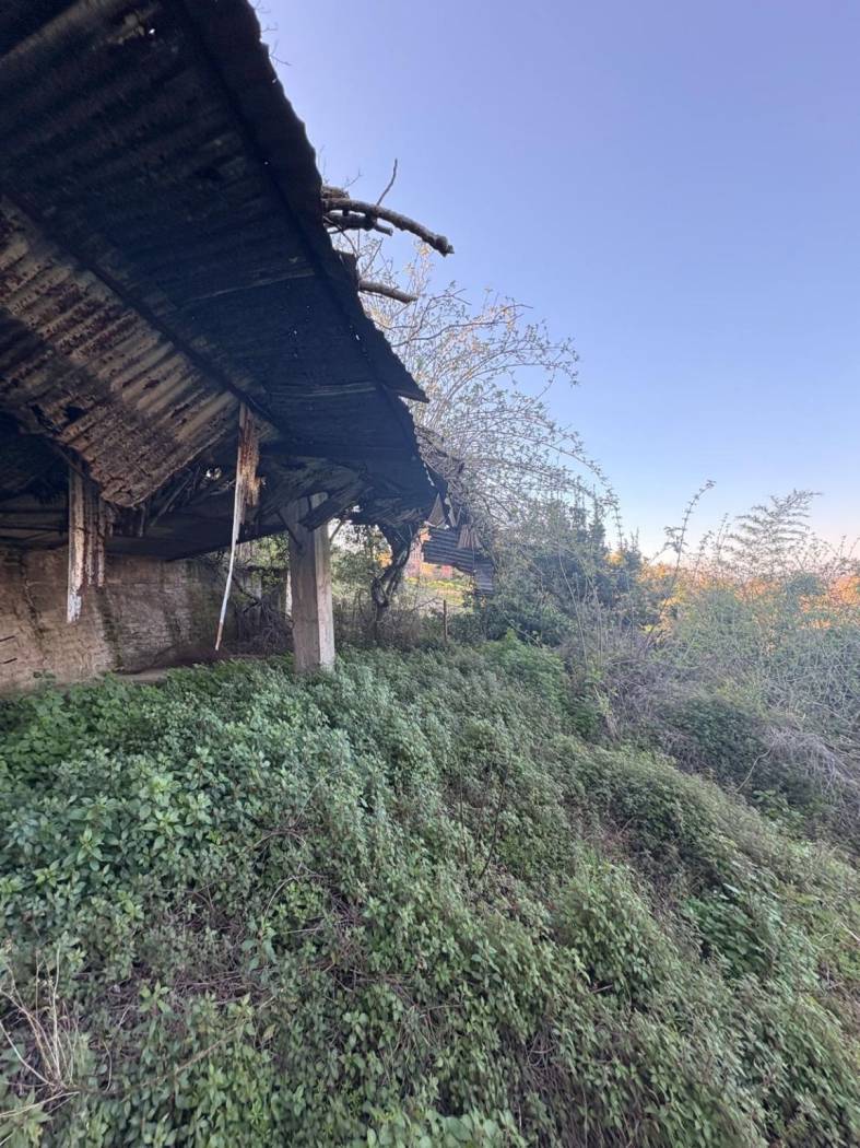 Terreno