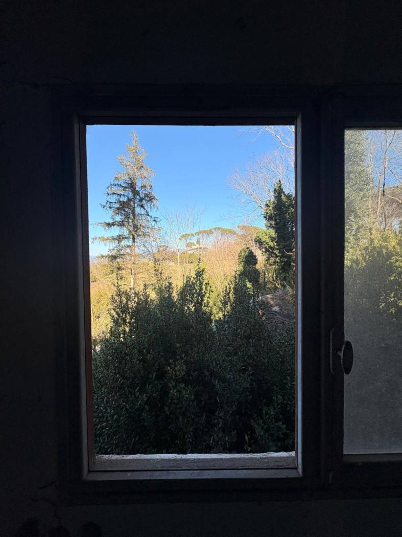 Vista