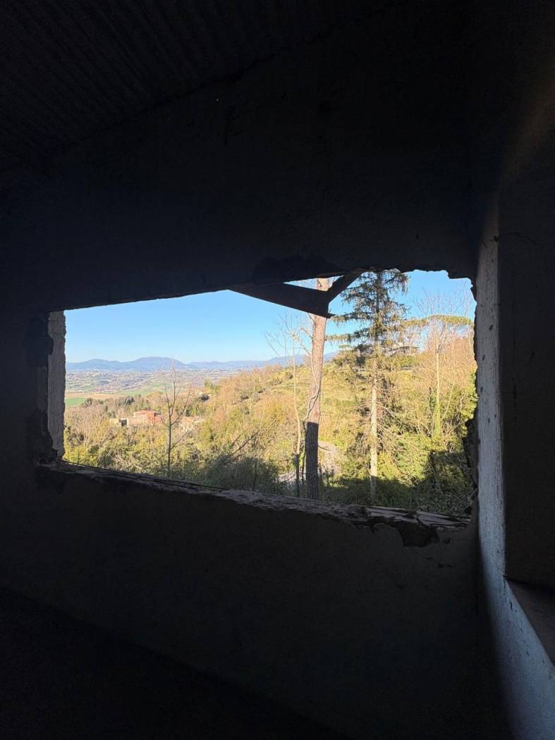 Vista