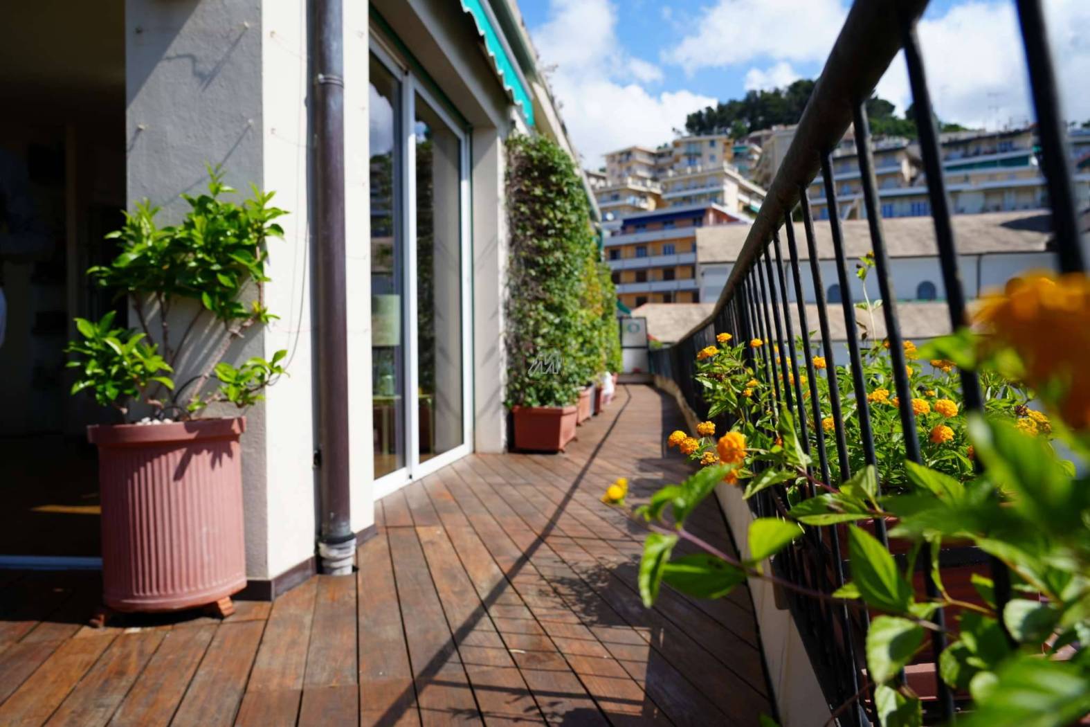 Balcone