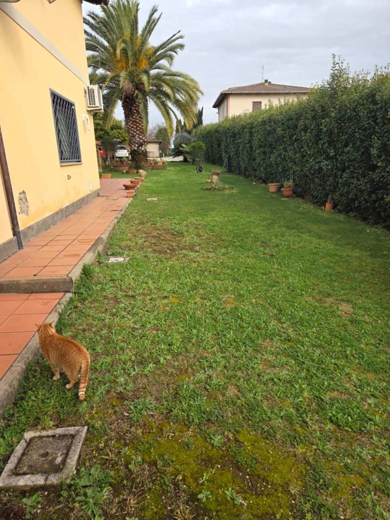 Giardino