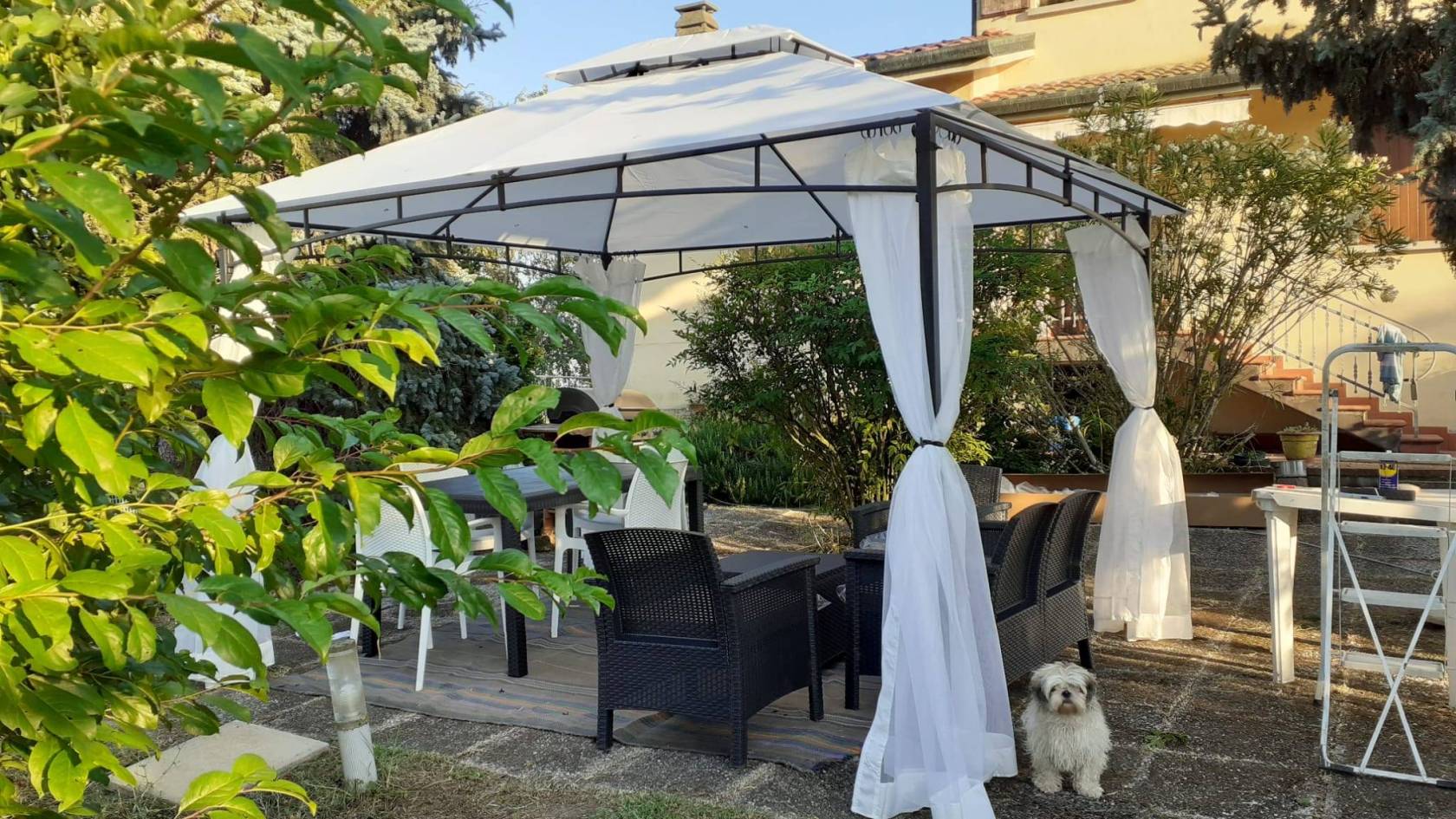 Giardino