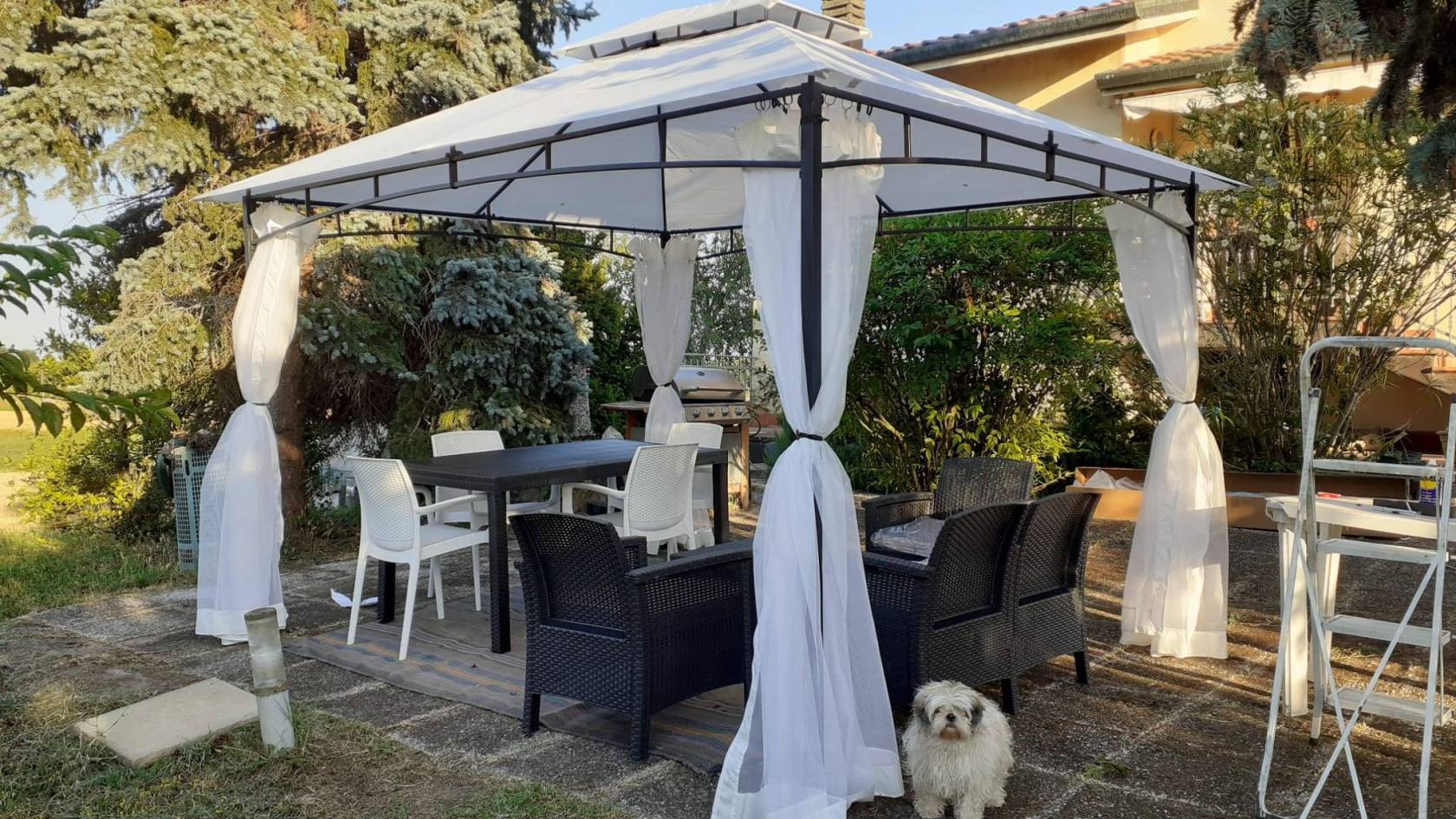 Giardino