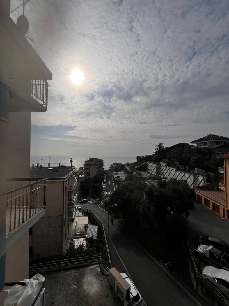 Vista