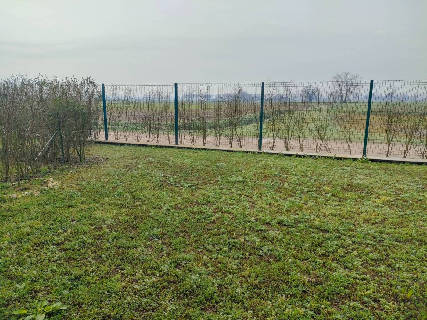 Terreno