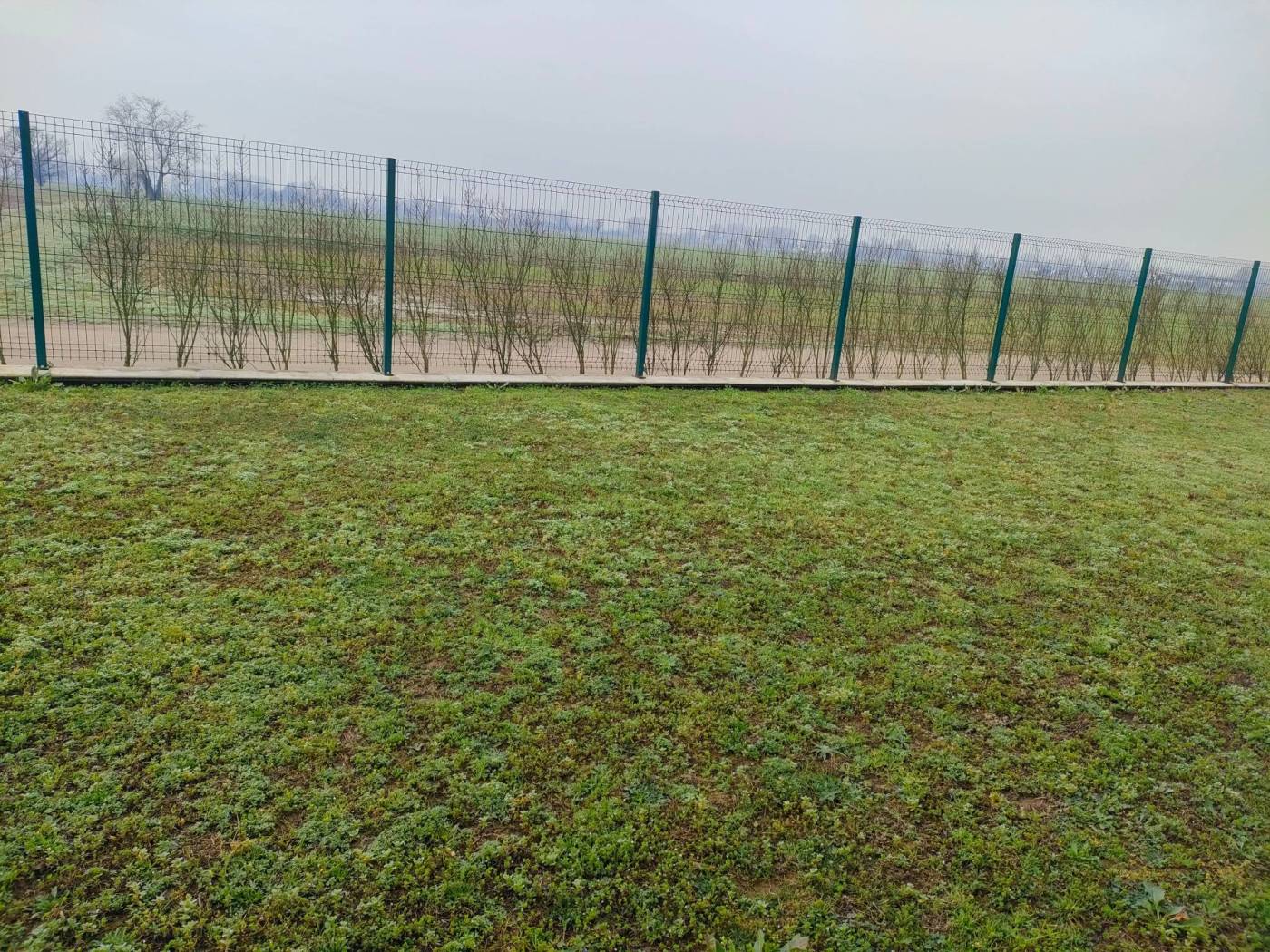 Terreno