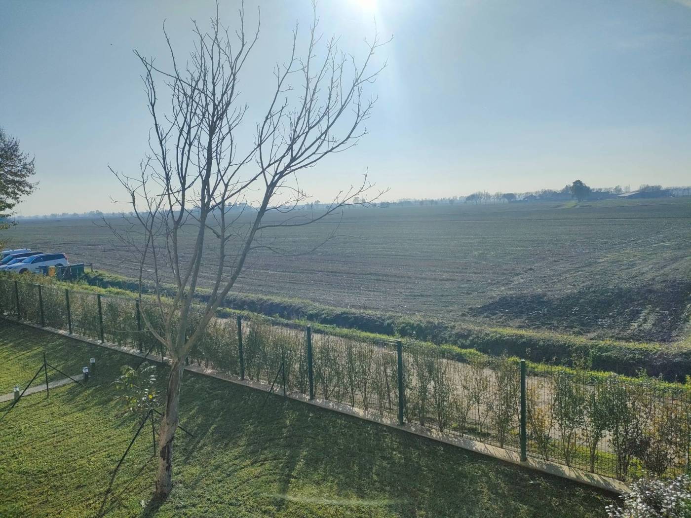 Vista