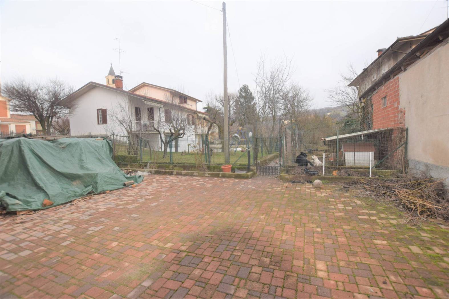 Giardino