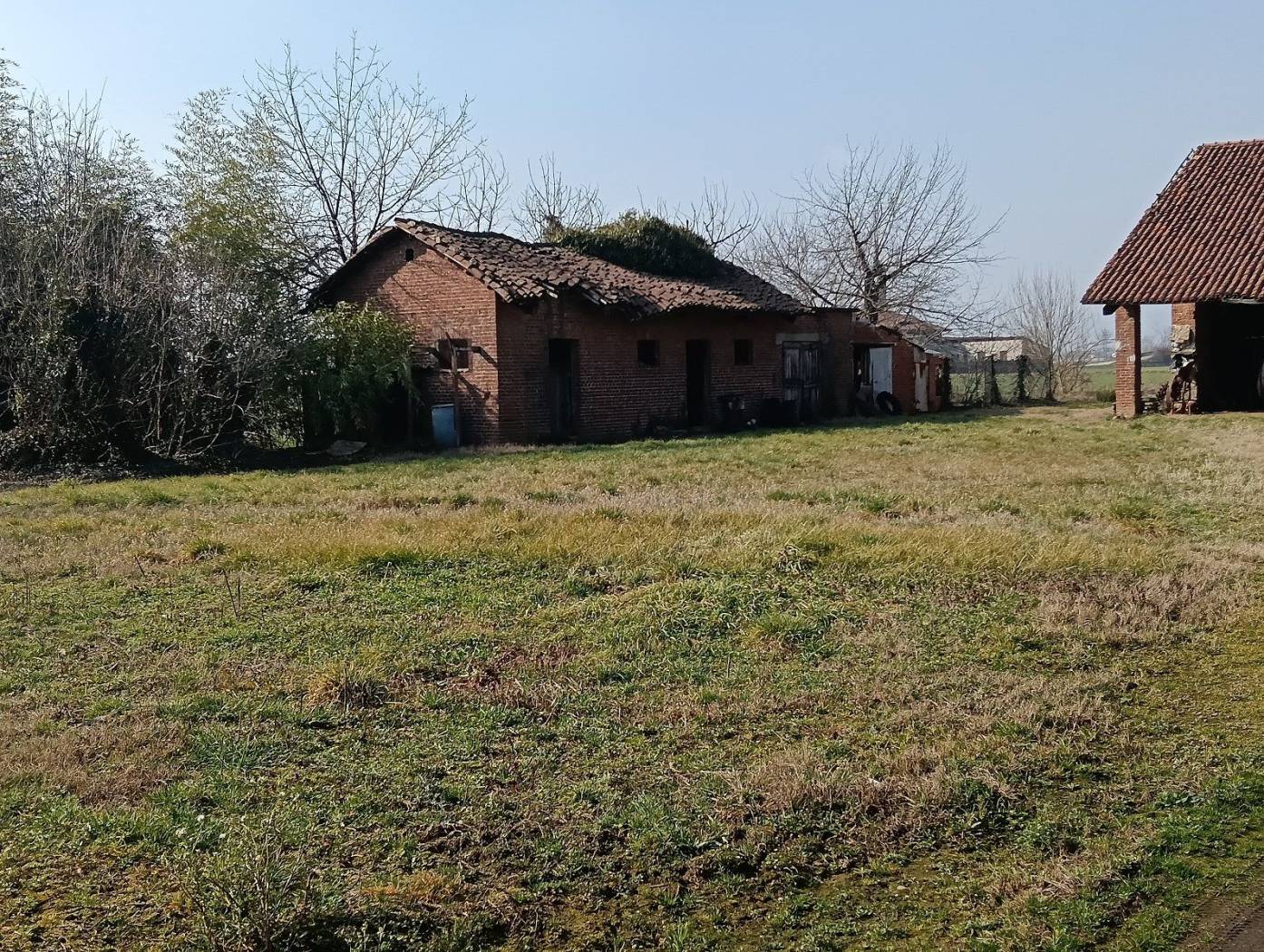 Terreno