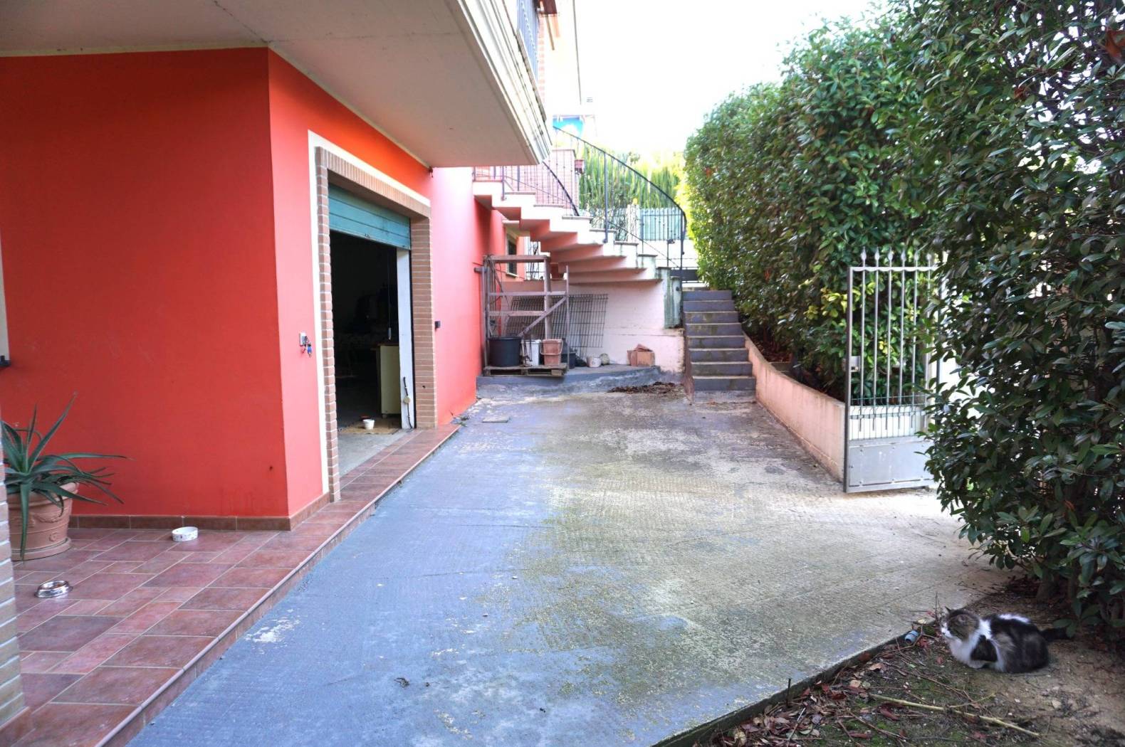 Giardino