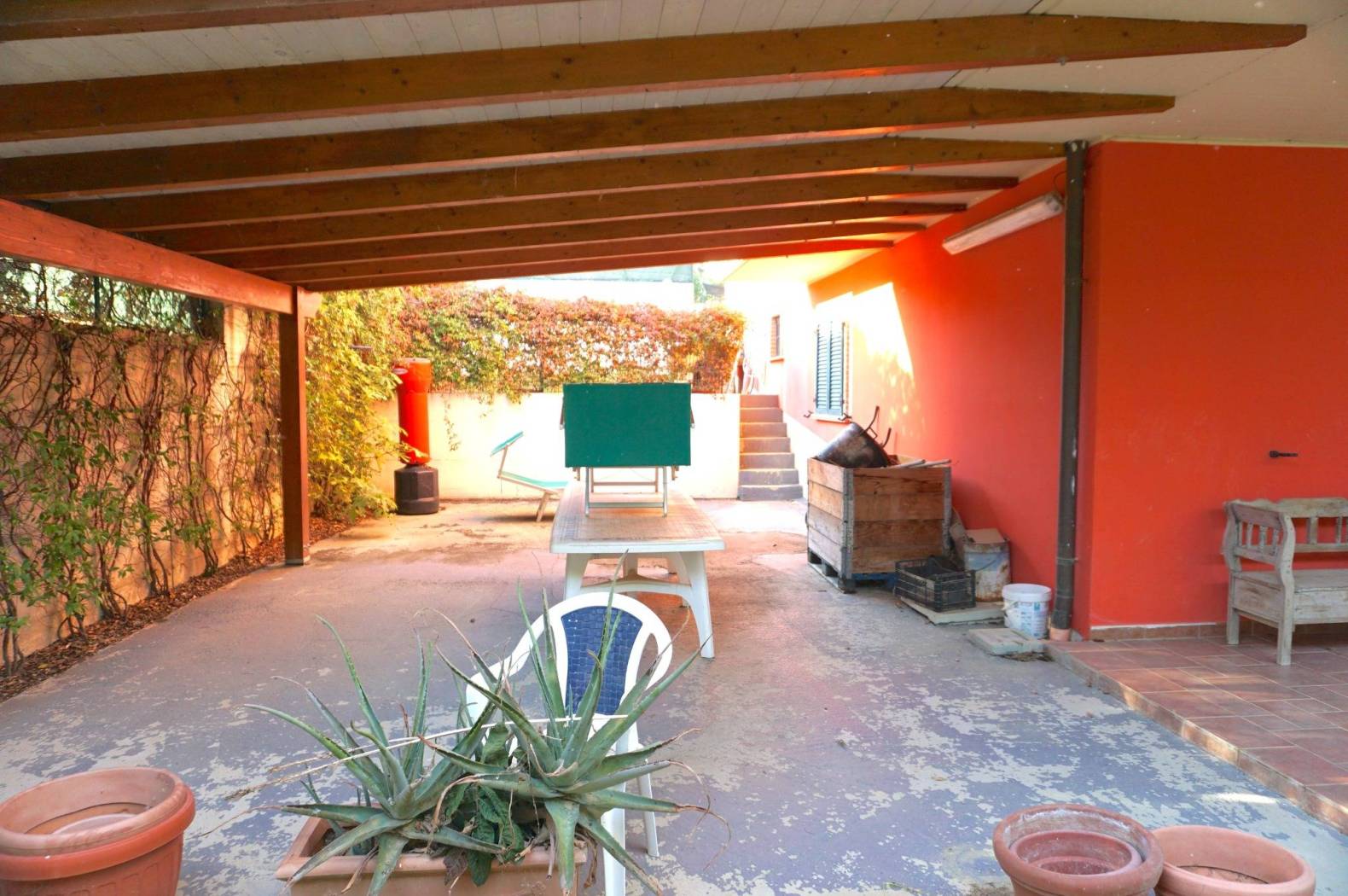 Giardino
