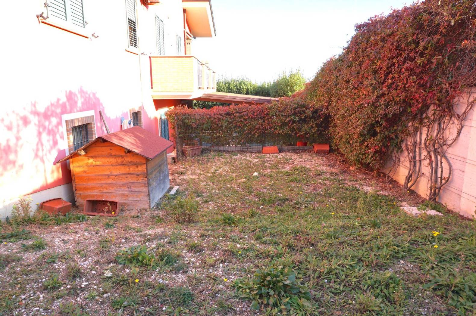 Giardino