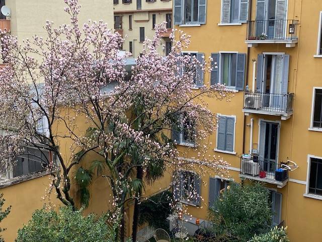 Facciata