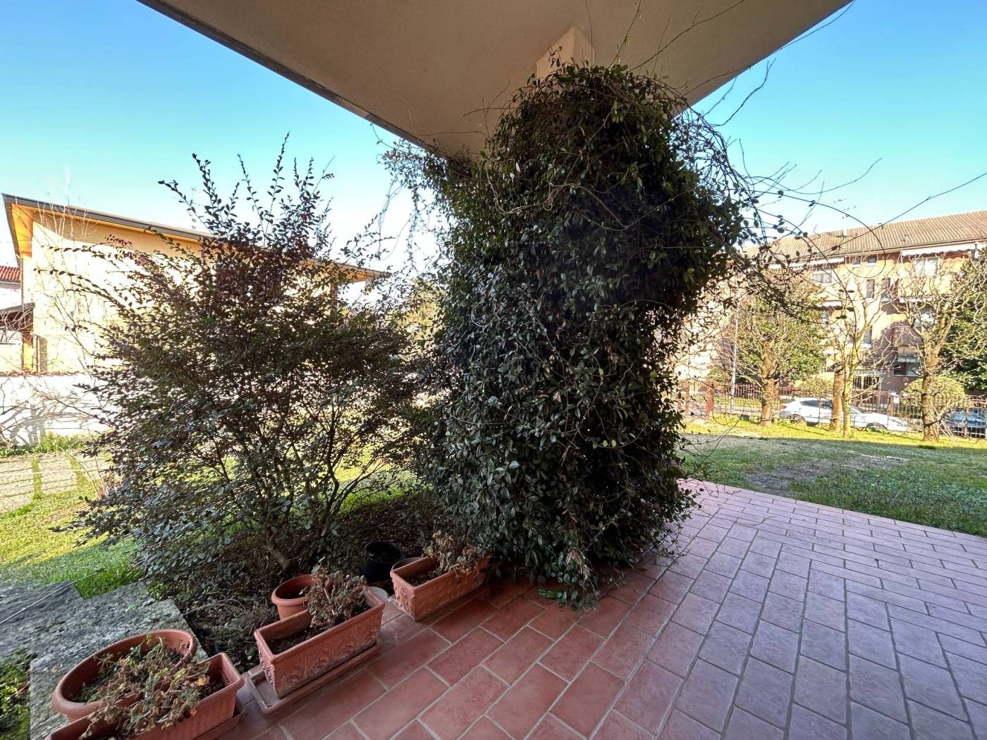Giardino