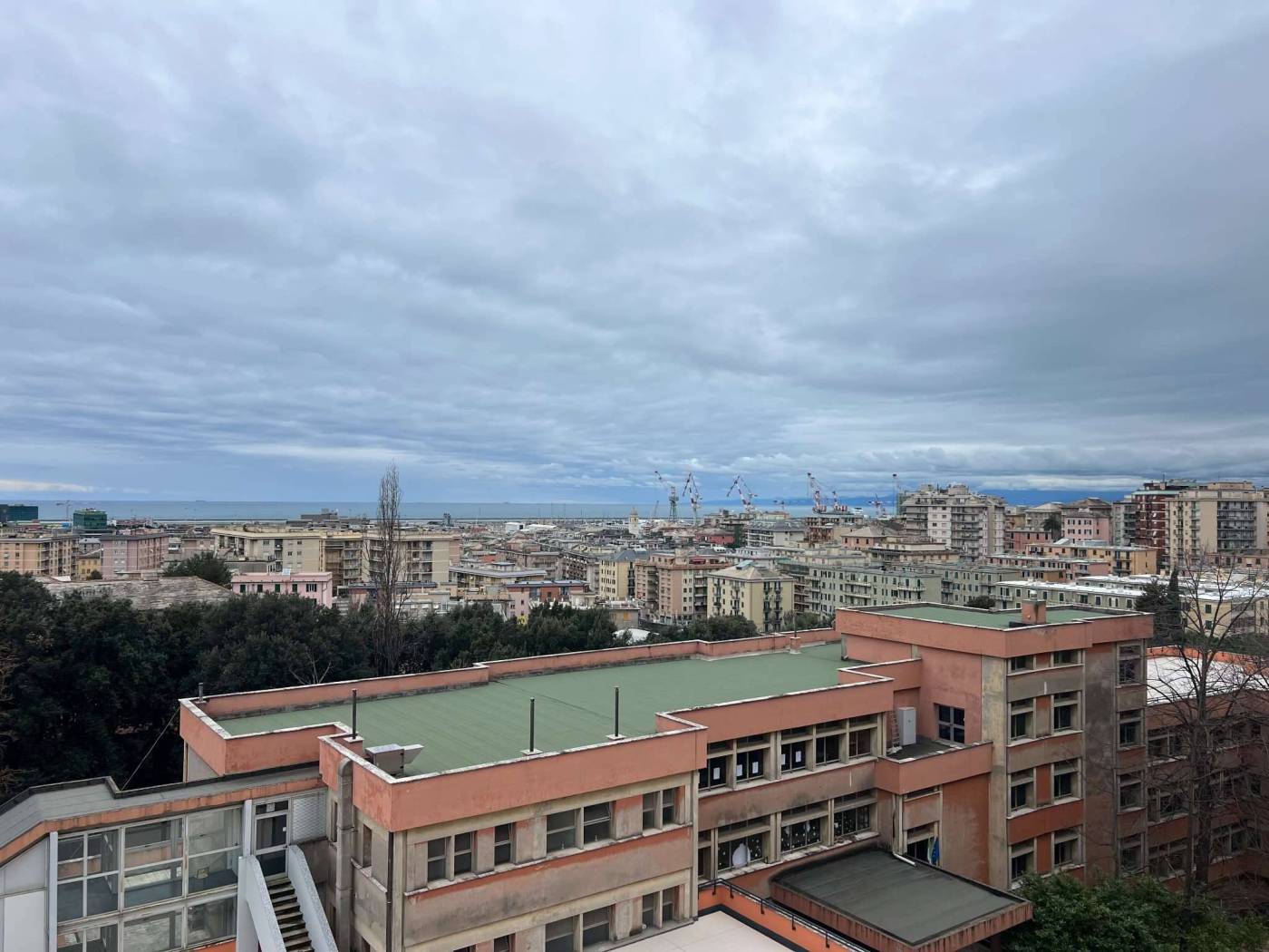 Vista