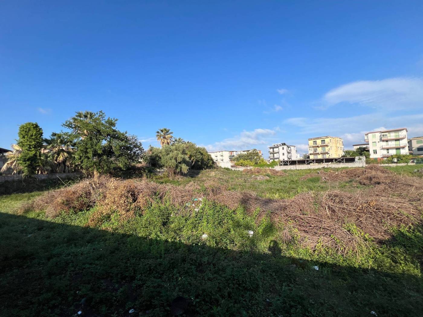Terreno