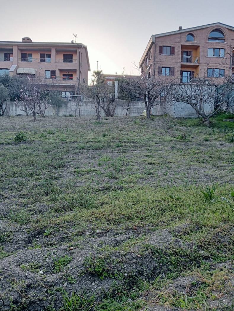 Terreno