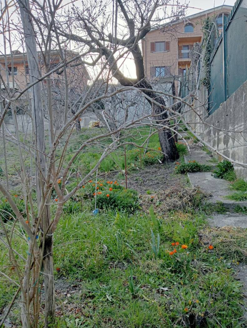 Terreno