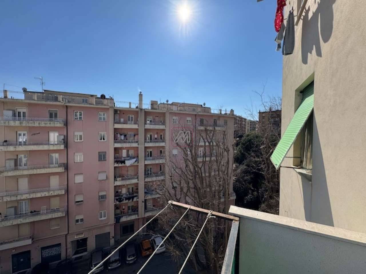 Vista