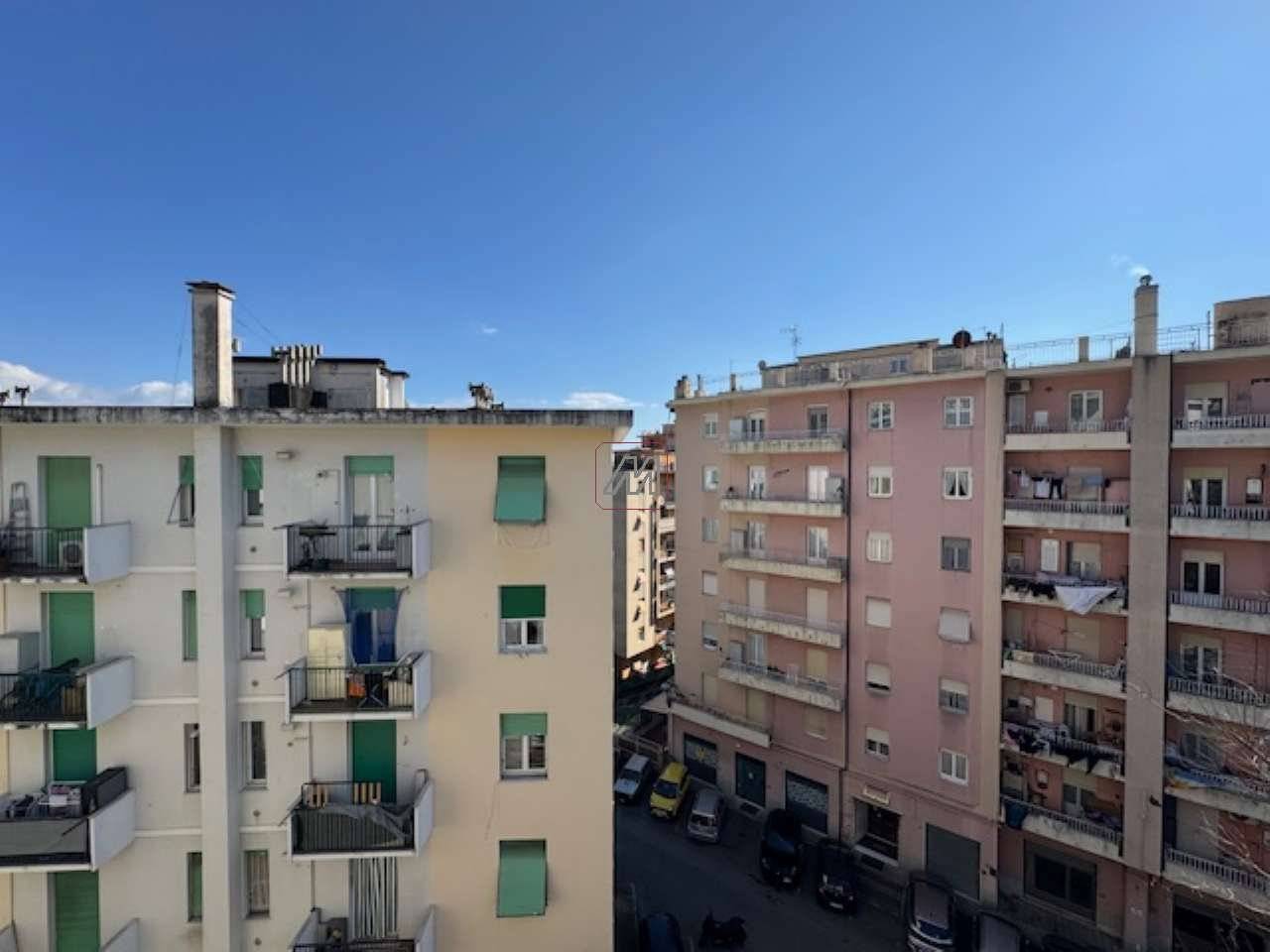 Vista