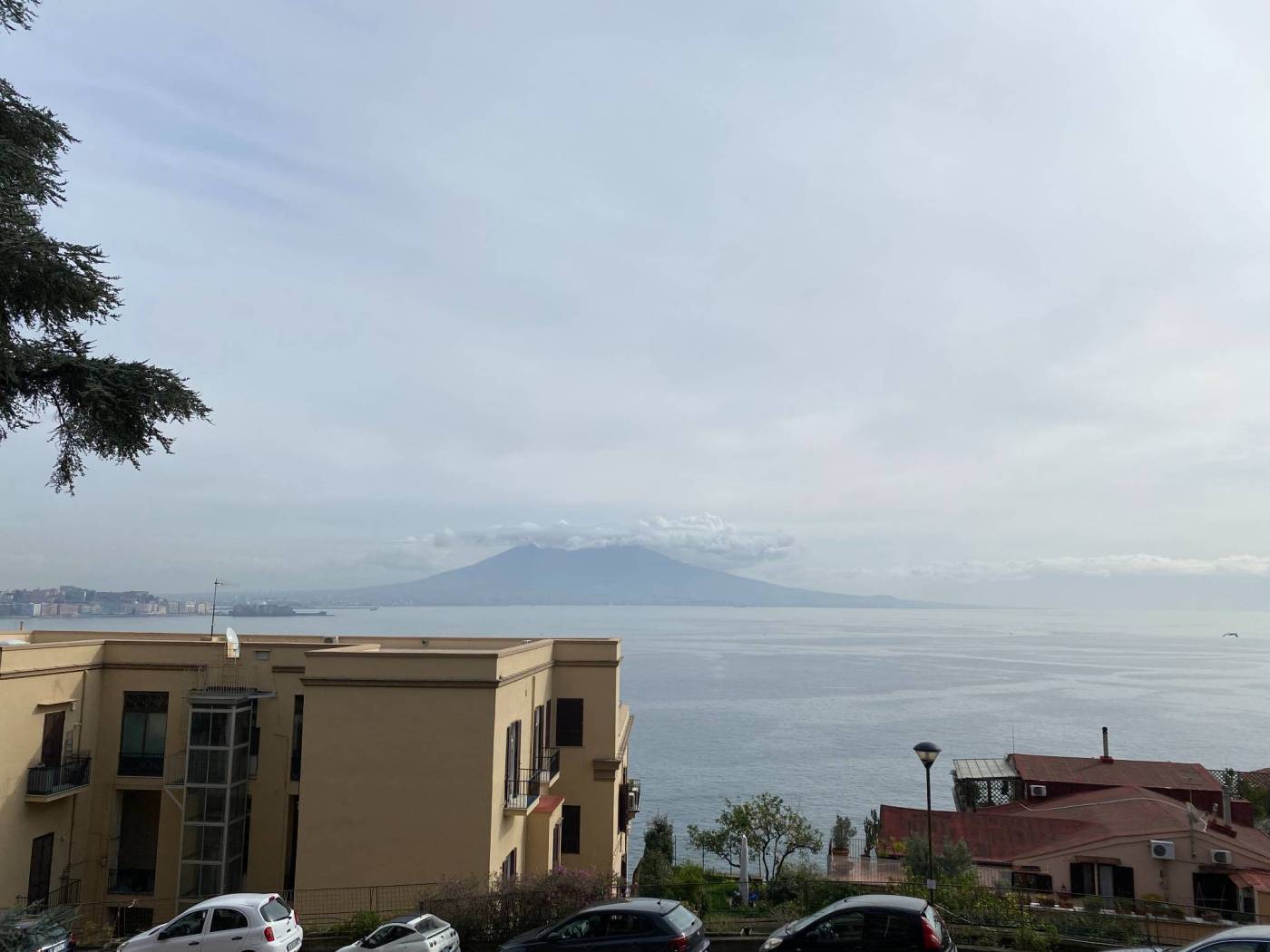 Vista