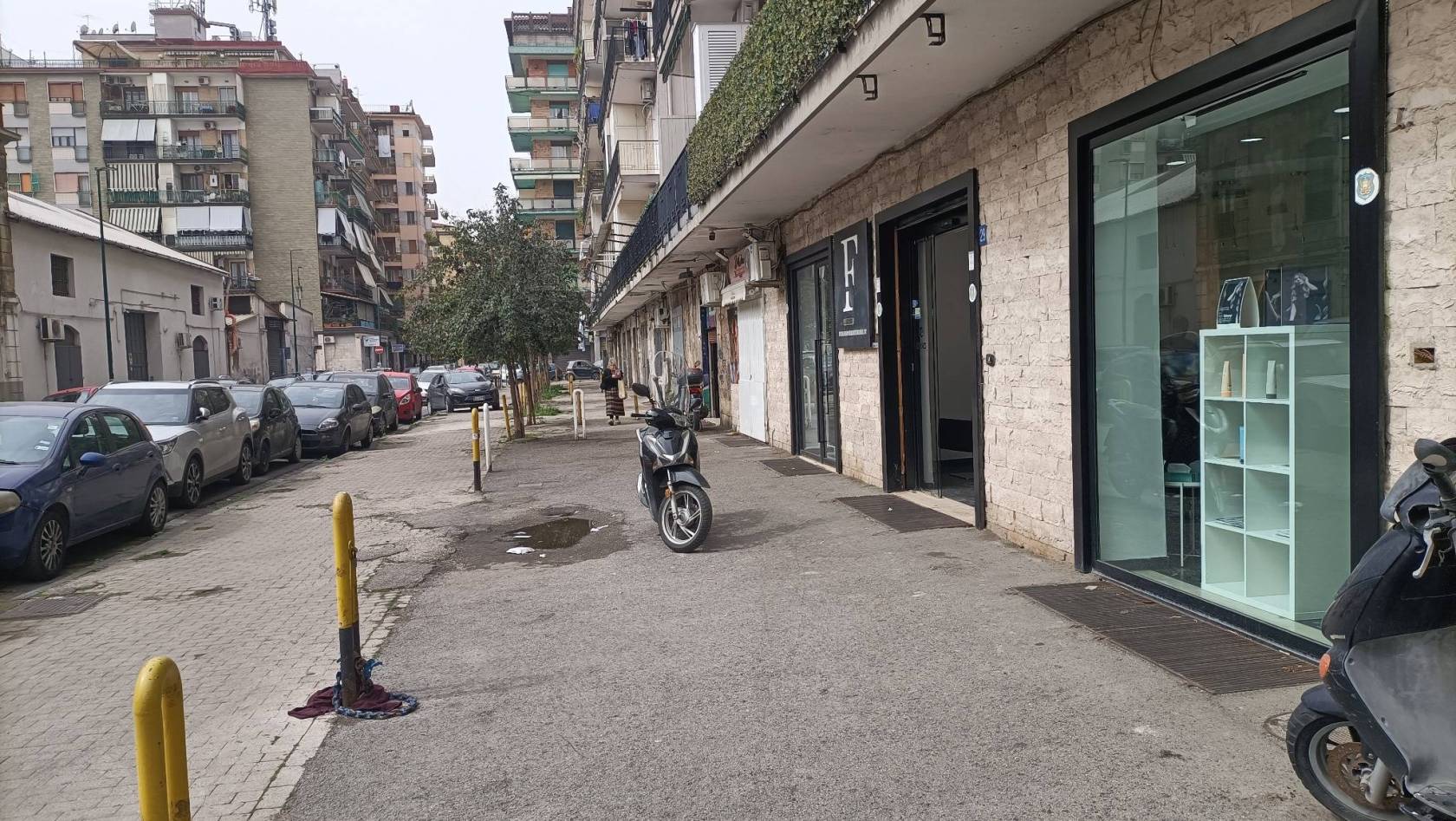 Zona
