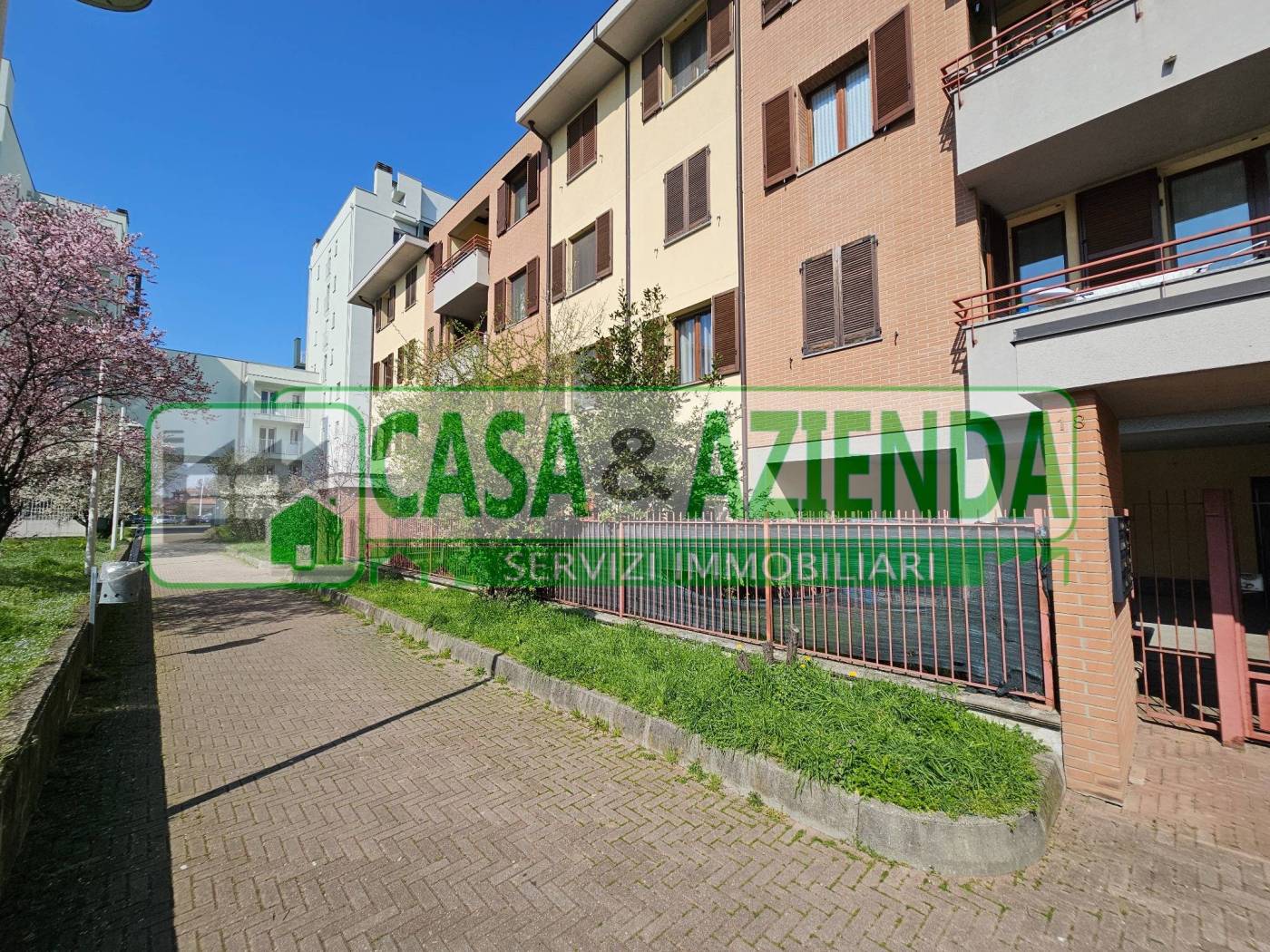 Zona