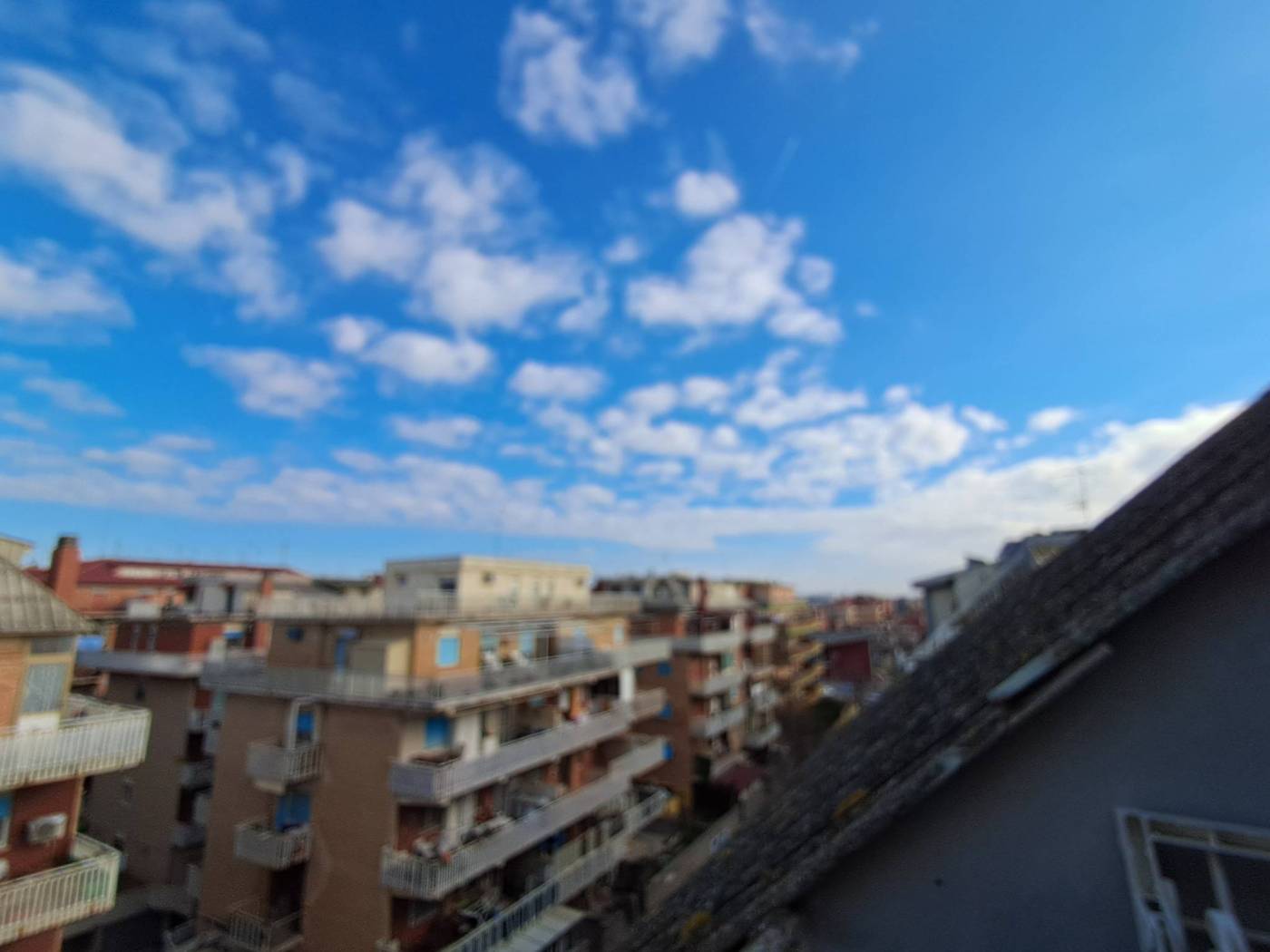 Vista
