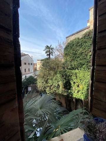 Vista