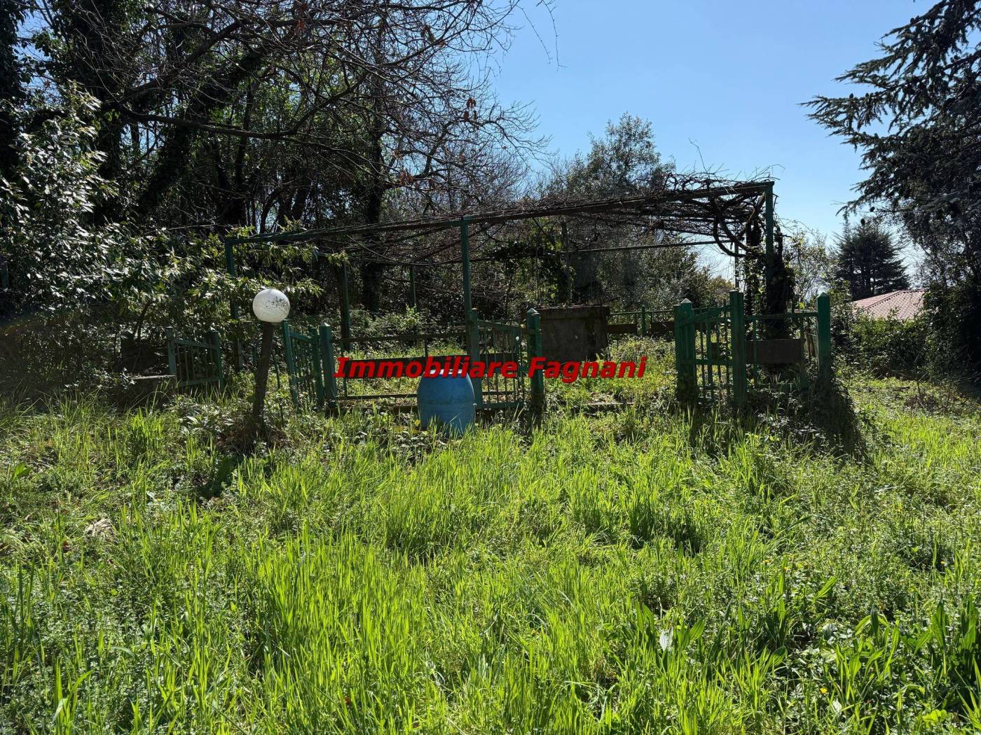 Terreno