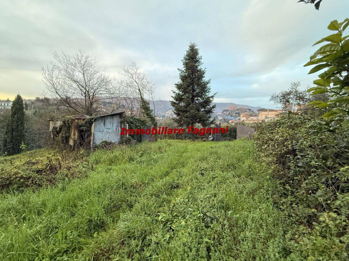 Terreno