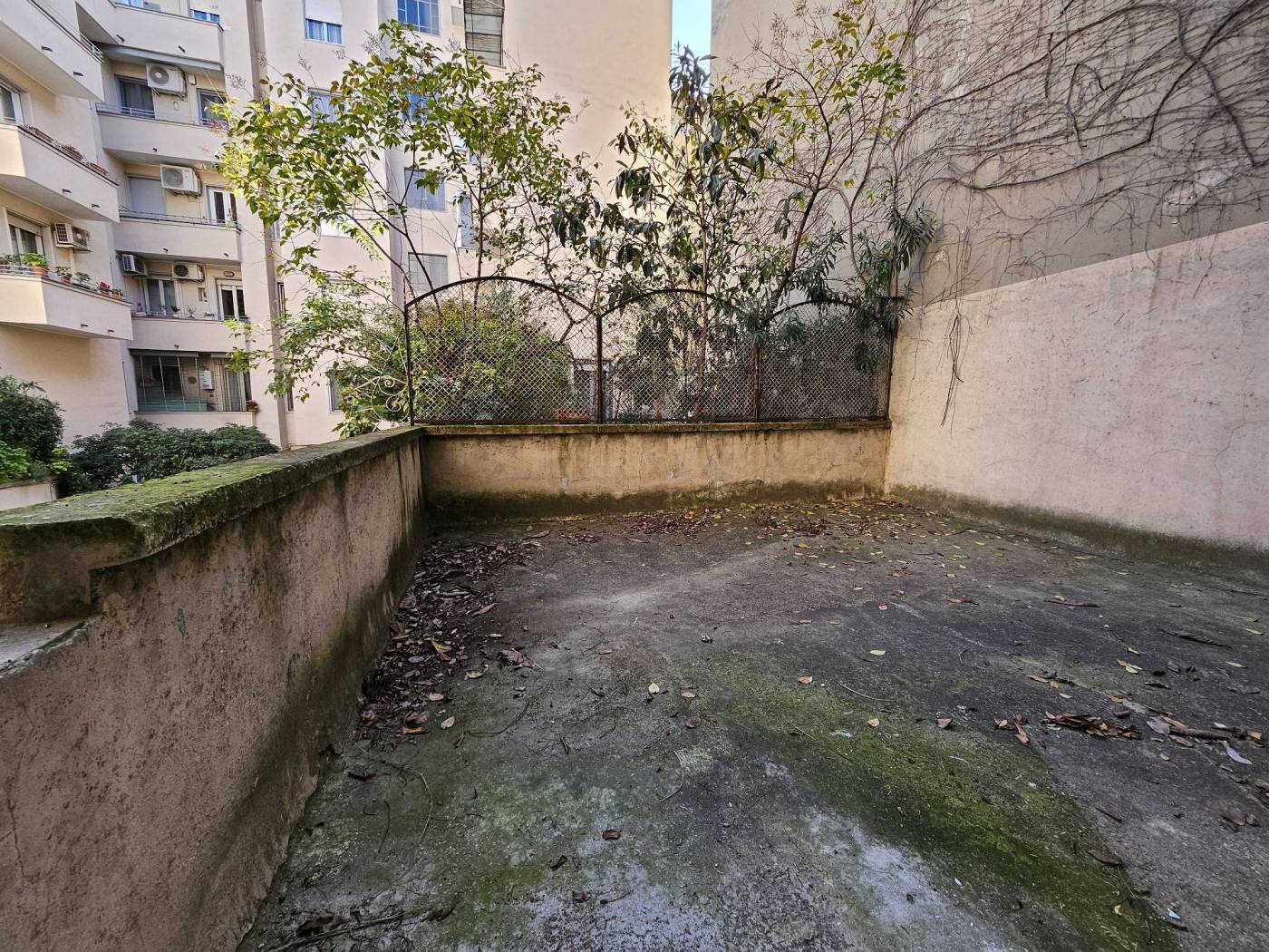 Giardino