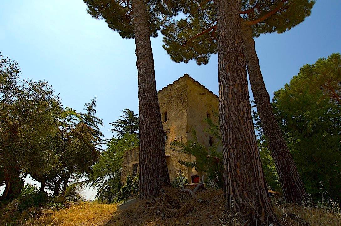 Terreno