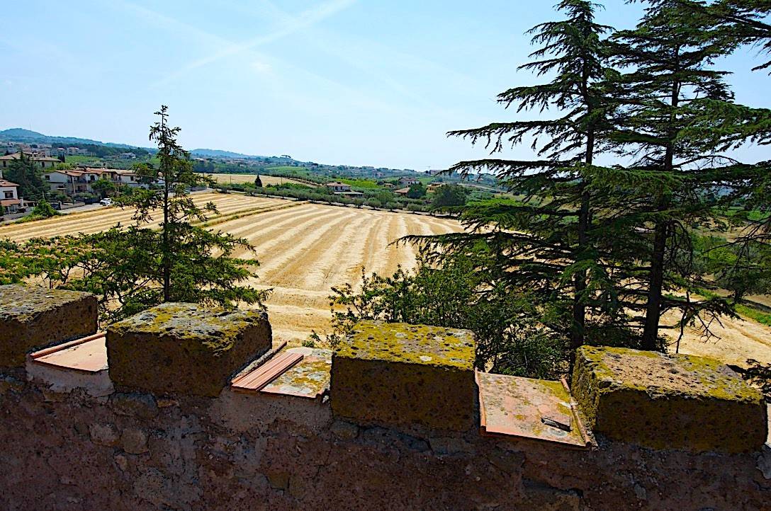 Vista