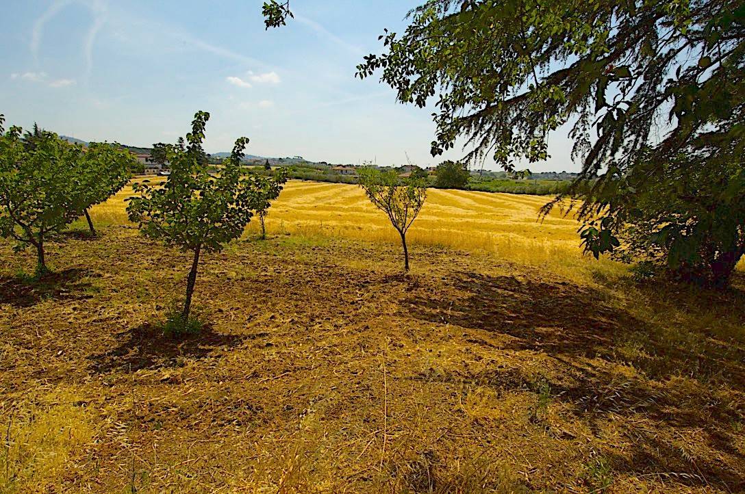 Terreno